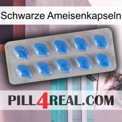 Black Ant Capsules 22